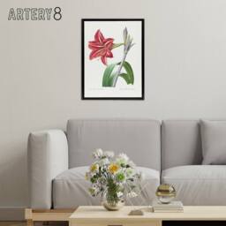 "Artery8 Brazilian Amaryllis Flower Redoute Black Framed Canvas Wall Art in White - Size: W12"" x H16""" - thumbnail 3