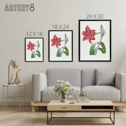 "Artery8 Brazilian Amaryllis Flower Redoute Black Framed Canvas Wall Art in White - Size: W12"" x H16""" - thumbnail 4