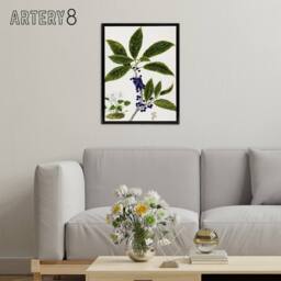 "Artery8 New Zealand Mahoe Whiteywood Plant Featon Framed Canvas Wall Art Print in Beige - Size: W12"" x H16""" - thumbnail 3