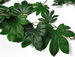 Leaf 6 x 110cm Artificial Hanging Trailing Aralia Plant in Green - Size: 6 x 110 cm - thumbnail 2