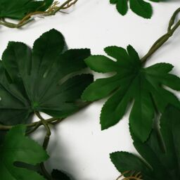 Leaf 6 x 110cm Artificial Hanging Trailing Aralia Plant in Green - Size: 6 x 110 cm - thumbnail 3