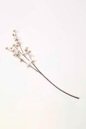 Homescapes Artificial Cherry Blossom Branch in Natural - thumbnail 1