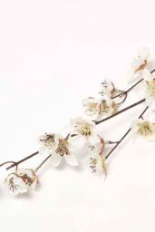 Homescapes Artificial Cherry Blossom Branch in Natural - thumbnail 3