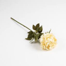 Scottish Everlastings Ltd 73cm Cream Peony Stem 3PK - thumbnail 3
