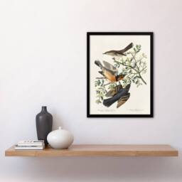 "Artery8 Mountain Mocking Bird & Thrush Audubon Nature Framed Wall Art Print in White - Size: W12"" x H16""" - thumbnail 4