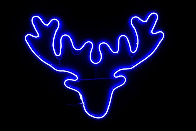 Shatchi Stag Head Neon Effect Rope Light Silhouette Double Side 90 Blue LEDs Christmas Outdoor in Natural - image 1