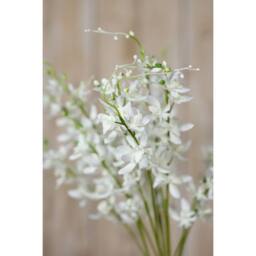 Lemon Pavilion Furniture and Decor Cymbidium Spray (Single Stem Flower) - L10 x W24 x H95 cm - White - thumbnail 5