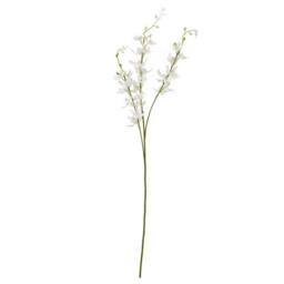 Lemon Pavilion Furniture and Decor Cymbidium Spray (Single Stem Flower) - L10 x W24 x H95 cm - White - thumbnail 1