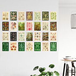 "Artery8 Wall Art Print 50 Pcs Botanical Aesthetic Haeckel Colourful Collage Kit s A6 Set Pack 15x10 cm (6x4"") Bedroom Wall Home Bathroom Pictures Sea" - thumbnail 4