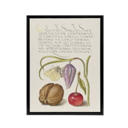"Artery8 Snakeshead Walnut & Cherry Calligraphy Framed Canvas Wall Art Print in White - Size: W12"" x H16""" - thumbnail 1