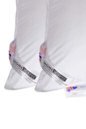Homescapes Microfibre Extra Fill Pillow Pair in White - thumbnail 3