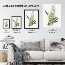 "Artery8 Frederick Sander Epidendrum Prismatocarpum Orchid Wall Art Print - Size: W12"" x H16""" - thumbnail 3