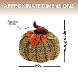 Marco Paul Halloween Green Plush Pumpkin Soft Autumn Decoration for Seasonal Displays 22cm - thumbnail 2