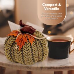 Marco Paul Halloween Green Plush Pumpkin Soft Autumn Decoration for Seasonal Displays 22cm - thumbnail 9