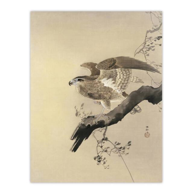 "Artery8 Hawk Bird of Prey on Tree Branch Retro Japan Wall Art Print Koson in Beige - Size: W12"" x H16""" - image 1