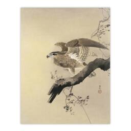 "Artery8 Hawk Bird of Prey on Tree Branch Retro Japan Wall Art Print Koson in Beige - Size: W12"" x H16""" - thumbnail 1