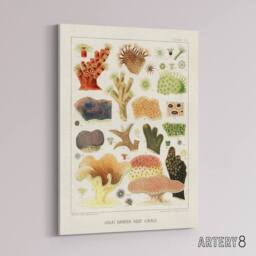 "Artery8 Great Barrier Reef Corals Illustration Kent Canvas Wall Art Print in White - Size: W12"" x H16""" - thumbnail 2