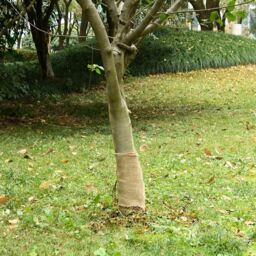 Berkfield Home Jute Roll 0.25x15 m 100% Jute 200 gsm - thumbnail 1