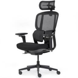 Realm of Thrones Comfortable Ergonomic Office Chair with Adjustable Features in Black - thumbnail 1