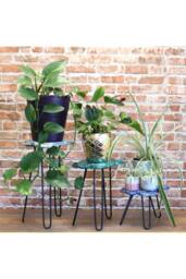 KDMD Set of 3 Wooden Plant Stands with Hairpin Legs - Turtles Design - thumbnail 3