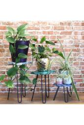 KDMD Set of 3 Wooden Plant Stands with Hairpin Legs - Turtles Design - thumbnail 2