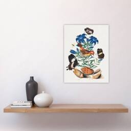 "Artery8 Red Avadavat Swallowtail & Shells Bolton Wall Art Poster Print - Size: W18"" x H24""" - thumbnail 4