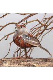 KDMD Ornamental Chaffinch Bird 2 Pack in Orange - thumbnail 1