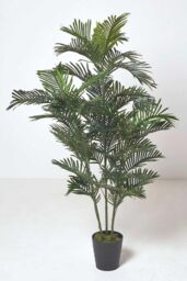 Homescapes Areca Palm Tree in Pot, 120 cm Tall in Green - thumbnail 3