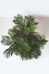 Homescapes Areca Palm Tree in Pot, 120 cm Tall in Green - thumbnail 4