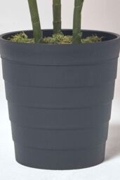 Homescapes Areca Palm Tree in Pot, 120 cm Tall in Green - thumbnail 5