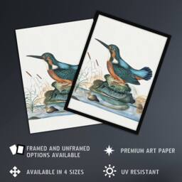 "Artery8 Common Kingfisher Vintage Illustration Bolton Wall Art Poster Print - Size: W12"" x H16""" - thumbnail 2