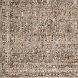 Livabliss Arda Vintage Green Grey Brown Taupe Traditional Boho Fringe Living Rug - Size: 153 cm x 220 cm - thumbnail 7