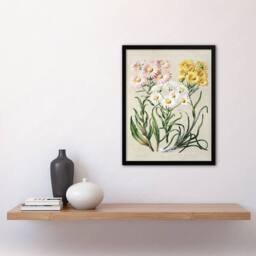 Artery8 New Zealand Snow Groundsel Flowers Featon Framed Wall Art Print in Beige - Size: A4 - thumbnail 4