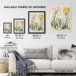 Artery8 New Zealand Snow Groundsel Flowers Featon Framed Wall Art Print in Beige - Size: A4 - thumbnail 3