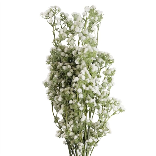 Leaf Pack of 6 x 85cm Gypsophila White Stem - Size: 6 x 85 cm - image 1