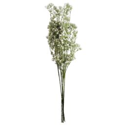 Leaf Pack of 6 x 85cm Gypsophila White Stem - Size: 6 x 85 cm - thumbnail 2