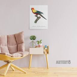 "Artery8 The Sun Parakeet Parrot Francois Levaillant Canvas Wall Art Print in White - Size: W12"" x H16""" - thumbnail 3