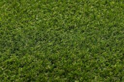 RugsX Artificial Grass Woodland Rug in Green - Size: 200 cm x 350 cm - thumbnail 4