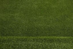 RugsX Artificial Grass Woodland Rug in Green - Size: 200 cm x 350 cm - thumbnail 2