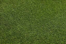 RugsX Artificial Grass Woodland Rug in Green - Size: 200 cm x 350 cm - thumbnail 3