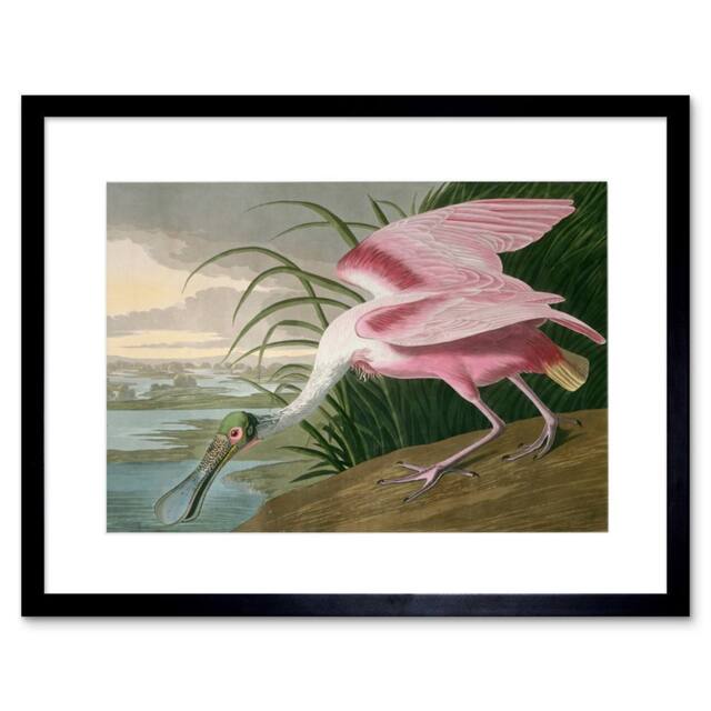 "Artery8 Painting Bird Audubon Roseate Spoonbill 12x16"" Framed Wall Art in Pink - Size: W12"" x H16""" - image 1