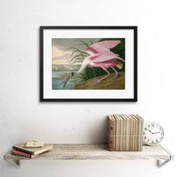 "Artery8 Painting Bird Audubon Roseate Spoonbill 12x16"" Framed Wall Art in Pink - Size: W12"" x H16""" - thumbnail 2