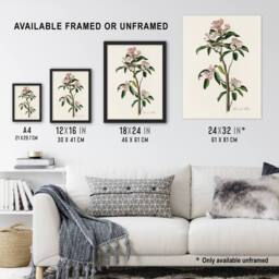 Artery8 Cuviers Kinglet Bird & Mountain Laurel Audubon Framed Wall Art Print in White - Size: A4 - thumbnail 3