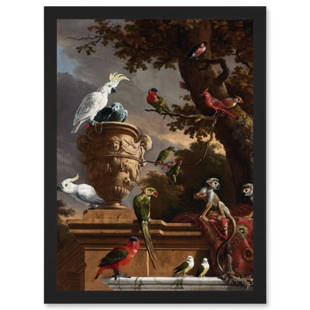 Artery8 Hondecoeter Menagerie Exotic Birds Parrots Painting Artwork Framed Wall Art Print A4 in Black - image 1
