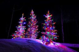 Shatchi 300LEDs Multifunction Timer String Fairy Lights 30M Indoor/Outdoor Decorations - thumbnail 3