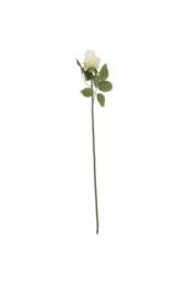 KDMD Arundel Rose Bud Cream 6 Pack White - thumbnail 2