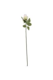 KDMD Arundel Rose Bud Cream 6 Pack White - thumbnail 1