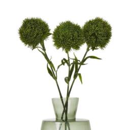 Lemon Pavilion Furniture and Decor Dark Dianthus (Single Stem Flower) - Plastic - Height 53 cm - Green - thumbnail 3
