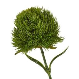 Lemon Pavilion Furniture and Decor Dark Dianthus (Single Stem Flower) - Plastic - Height 53 cm - Green - thumbnail 2