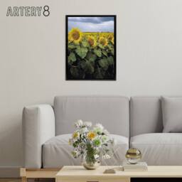 "Artery8 A Kansas sunflower field up close Highsmith Framed Canvas Wall Art - Size: W18"" x H24""" - thumbnail 3